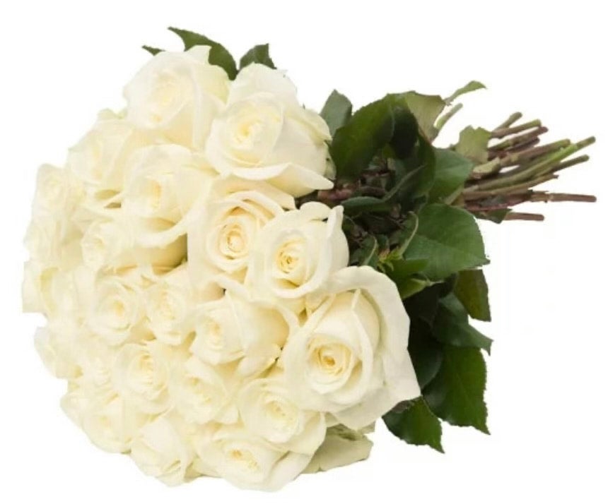White Roses